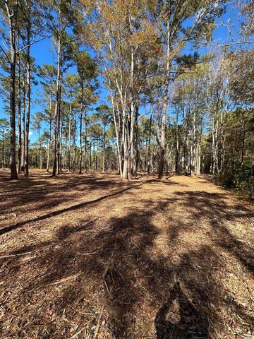 TBD Highway 707, Myrtle Beach, SC 29588