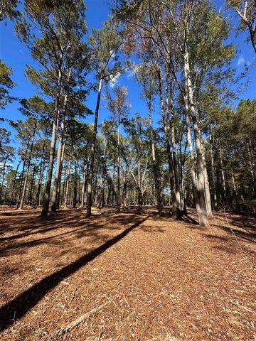 TBD Highway 707, Myrtle Beach, SC 29588