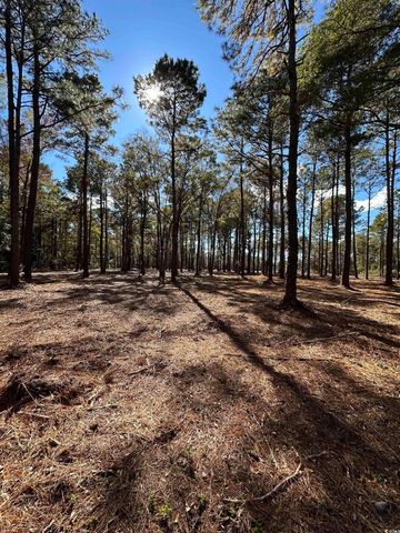 TBD Highway 707, Myrtle Beach, SC 29588