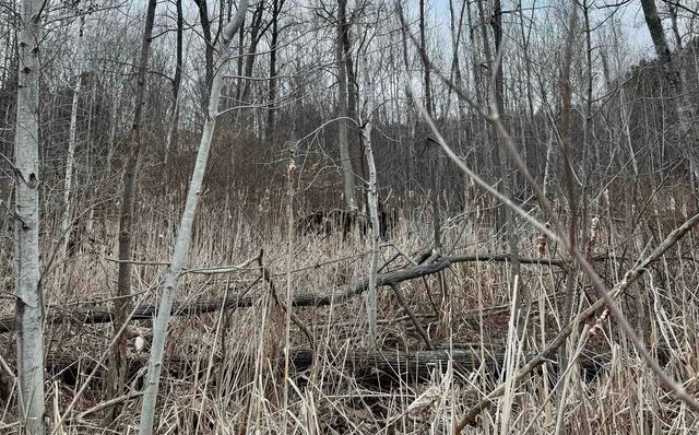 00 E Hidden Beech Drive, Cedar, MI 49621