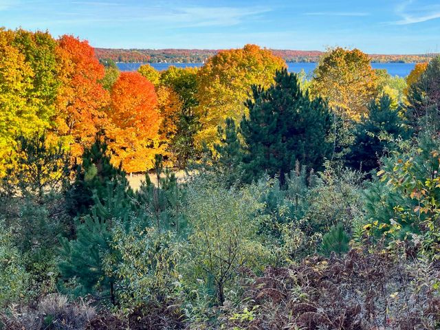 00 E Hidden Beech Drive, Cedar, MI 49621