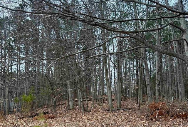 00 E Hidden Beech Drive, Cedar, MI 49621