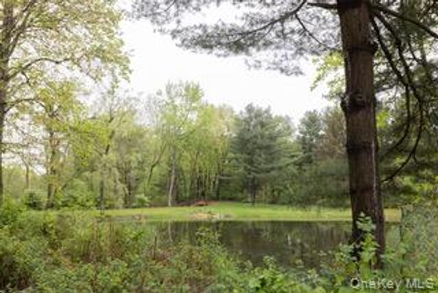 60 Eddy Road, Verbank, NY 12585