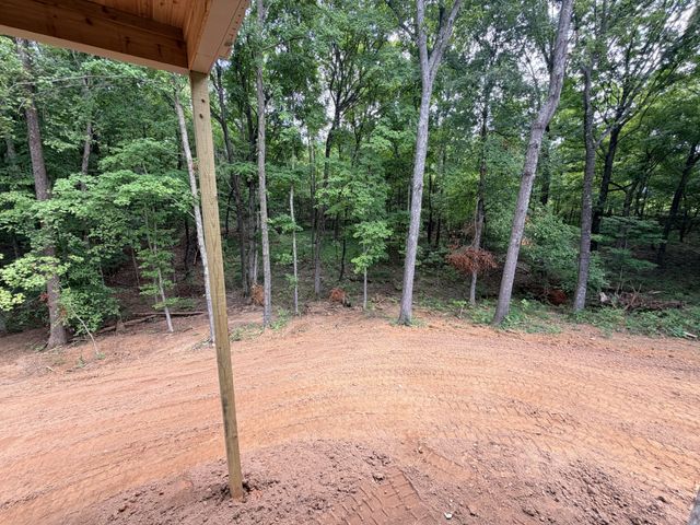 4447 Baggett Hollow Rd, Cunningham, TN 37052