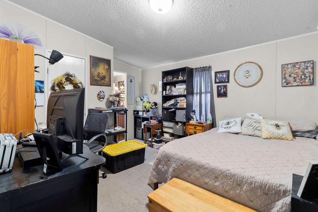 113 Preston Avenue, Livingston, TX 77351