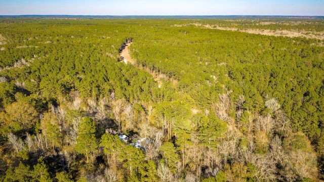 113 Preston Avenue, Livingston, TX 77351