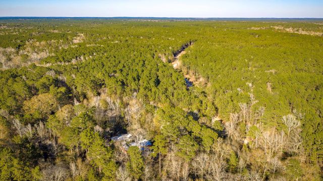 113 Preston Avenue, Livingston, TX 77351