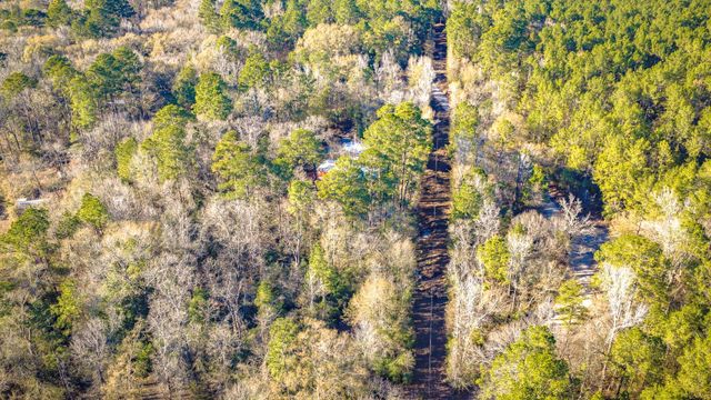 113 Preston Avenue, Livingston, TX 77351