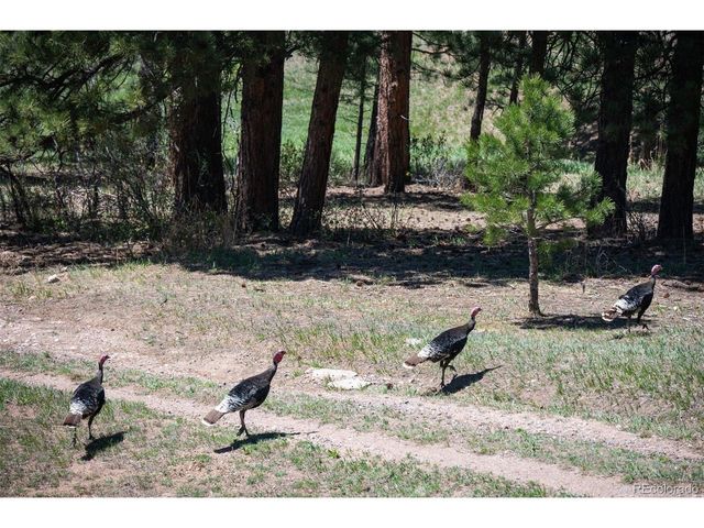 4322 Nambe Rd, Indian Hills, CO 80454