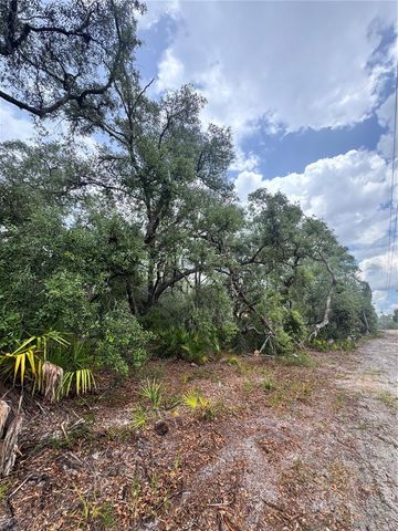 TBD SW 71ST ROAD, Ocala, FL 34473