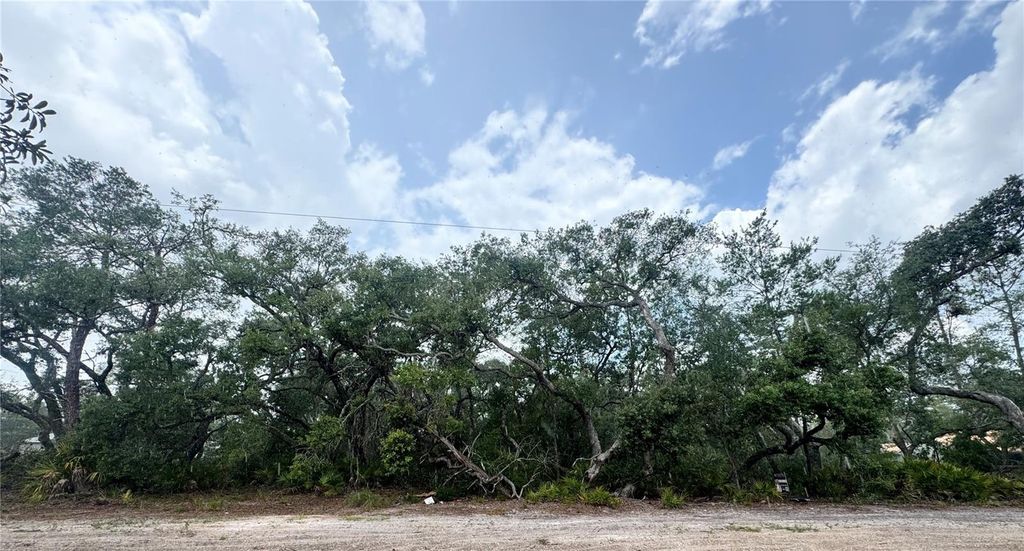 TBD SW 71ST ROAD, Ocala, FL 34473