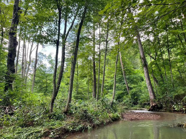 0 Roley Road, Sugar Grove, OH 43155