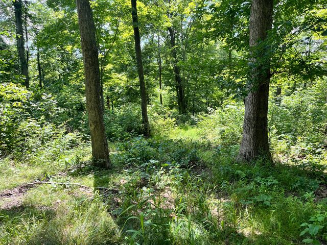0 Roley Road, Sugar Grove, OH 43155