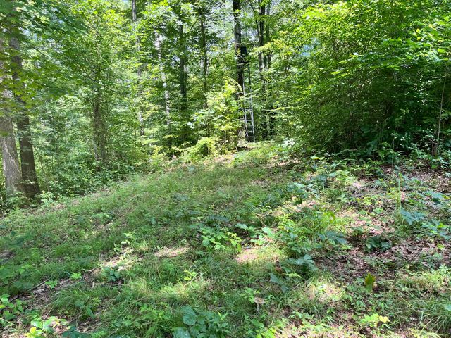 0 Roley Road, Sugar Grove, OH 43155