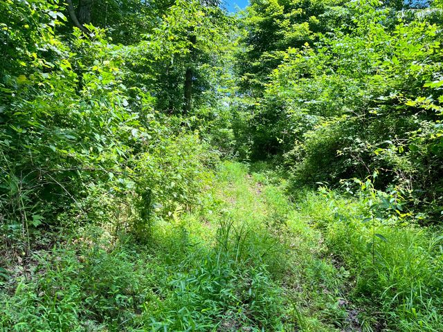 0 Roley Road, Sugar Grove, OH 43155