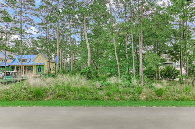 4393 Wynne Way, Montgomery, TX 77316