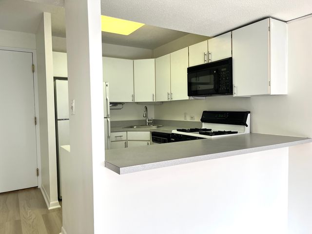 230 E Ontario Street 2104, Chicago, IL 60611