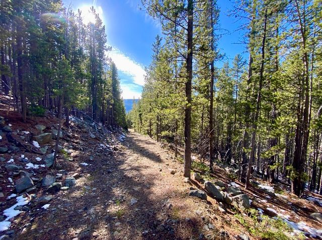 NNN section 28, Neihart, MT 59465 property photo