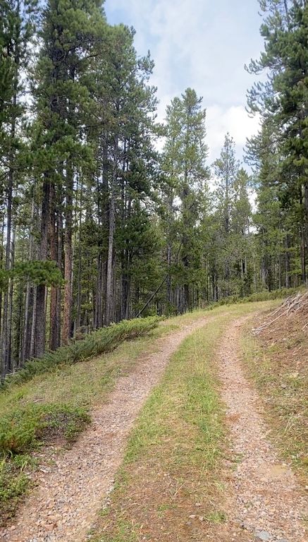 NNN section 28, Neihart, MT 59465 photo 5