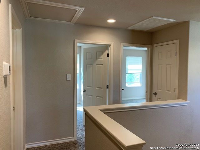 1784 TRISTAN TRAIL, New Braunfels, TX 78130
