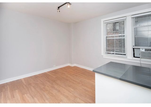 511 W Belmont Avenue 3, Chicago, IL 60657