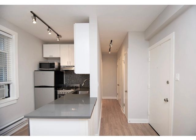 511 W Belmont Avenue 3, Chicago, IL 60657