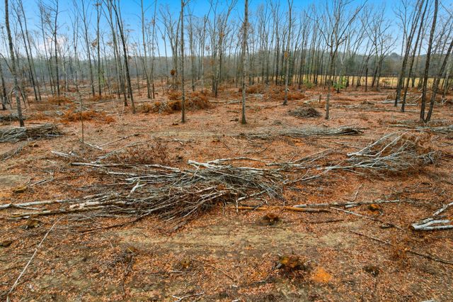 0 Whitaker Rd, Belvidere, TN 37306