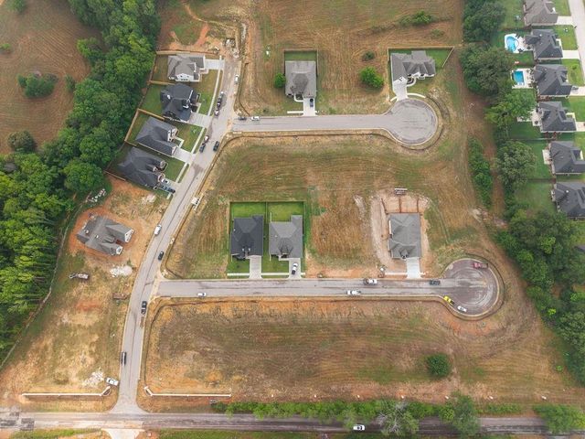 15087 Tilley Springs Cv, Tyler, TX 75703