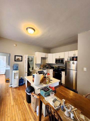 973 W 19th Street 3, Chicago, IL 60608