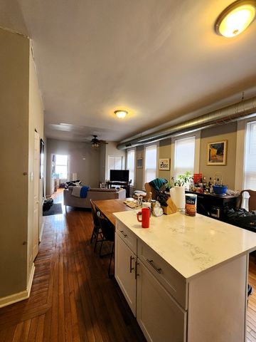 973 W 19th Street 3, Chicago, IL 60608