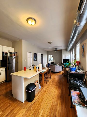 973 W 19th Street 3, Chicago, IL 60608