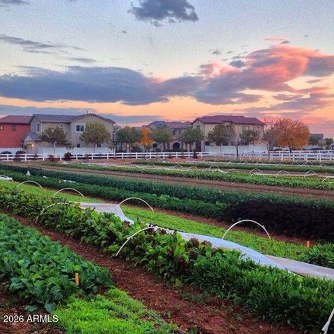 3541 E SHANNON Street, Gilbert, AZ 85295