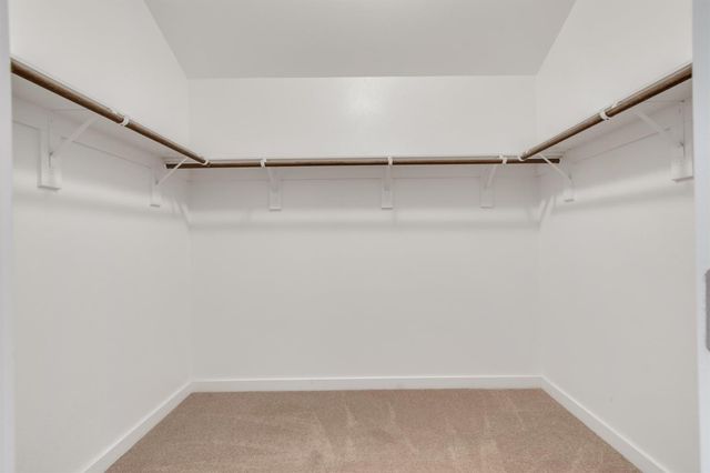 2324 Sawdust DR, Georgetown, TX 78633