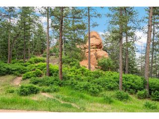 4580 Delaware Dr, Larkspur, CO 80118