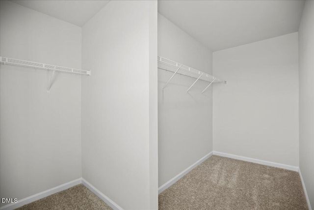 373 Fosterton Cottage Way, Raleigh, NC 27603