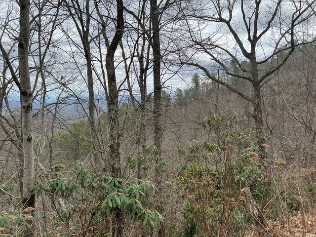 Lot 3 Overholt Trail, Sevierville, TN 37862