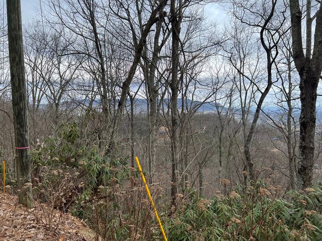 Lot 3 Overholt Trail, Sevierville, TN 37862