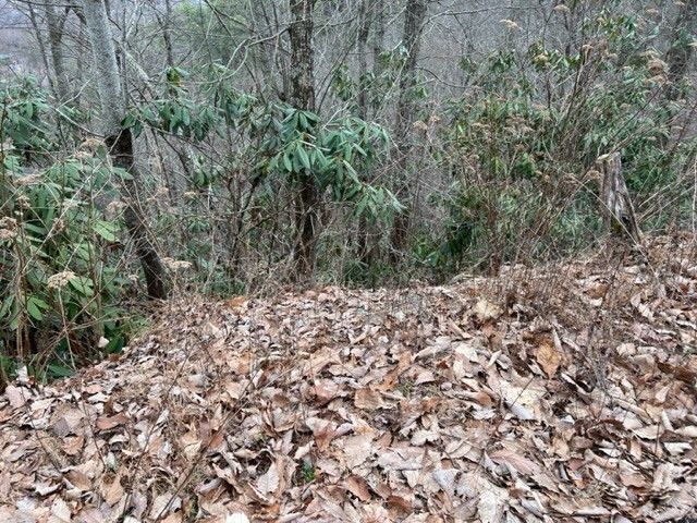 Lot 3 Overholt Trail, Sevierville, TN 37862