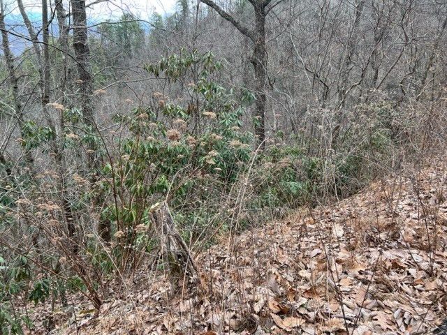 Lot 3 Overholt Trail, Sevierville, TN 37862