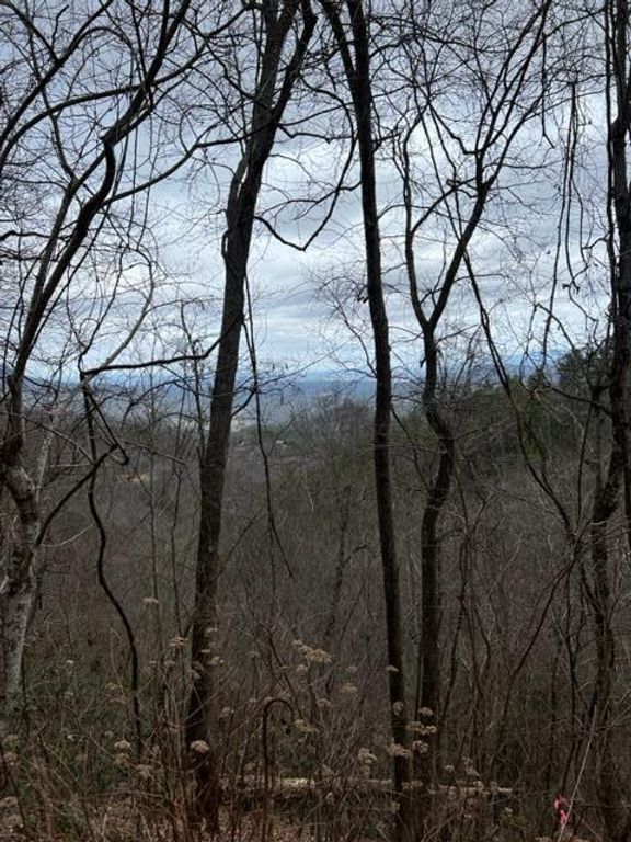 Lot 3 Overholt Trail, Sevierville, TN 37862