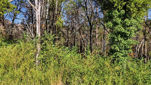 0 Sierra Drive, Dayton, TN 37321