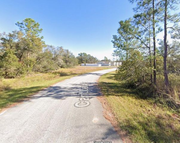 1205 CARIBBEAN DRIVE, Kissimmee, FL 34759