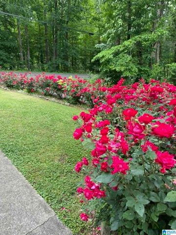 8172 CEDAR MOUNTAIN ROAD, Pinson, AL 35126
