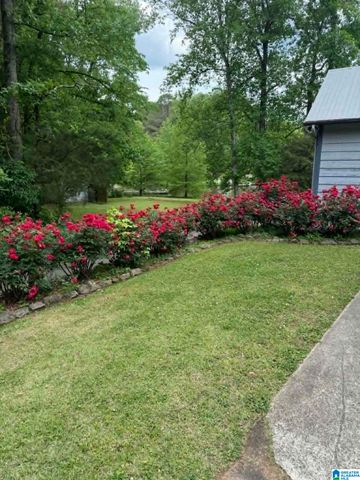 8172 CEDAR MOUNTAIN ROAD, Pinson, AL 35126