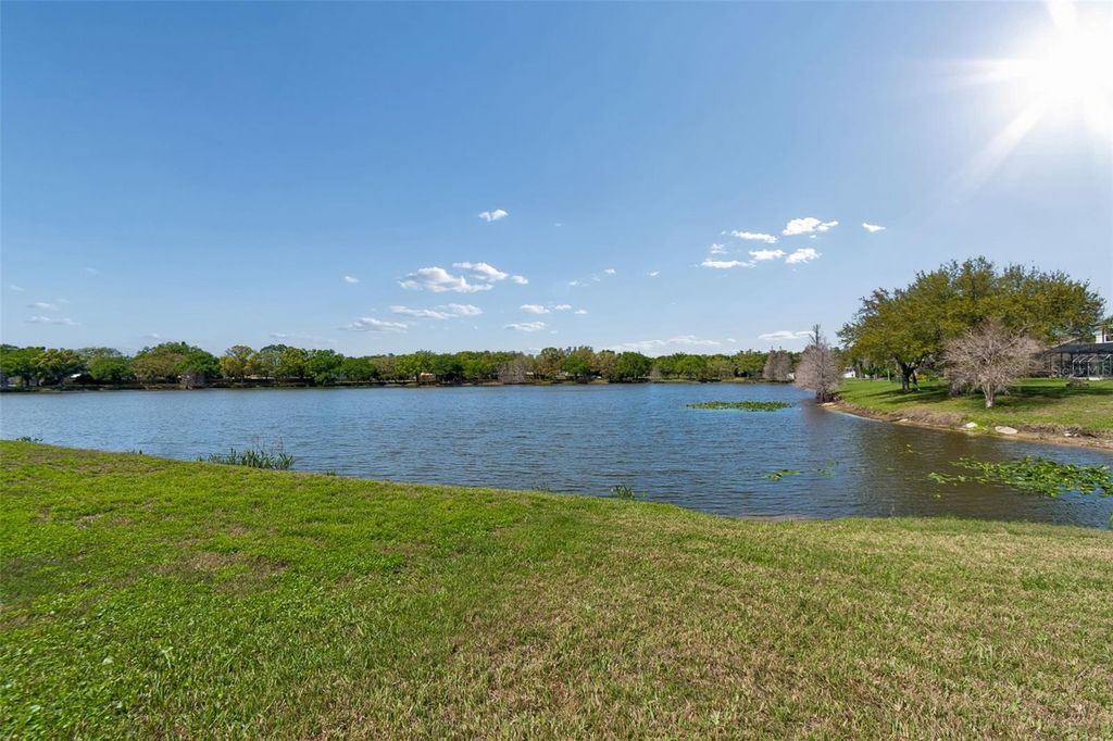 Image 41 of property listing at 11415 WHISPERING HOLLOW, Tampa, FL 33635