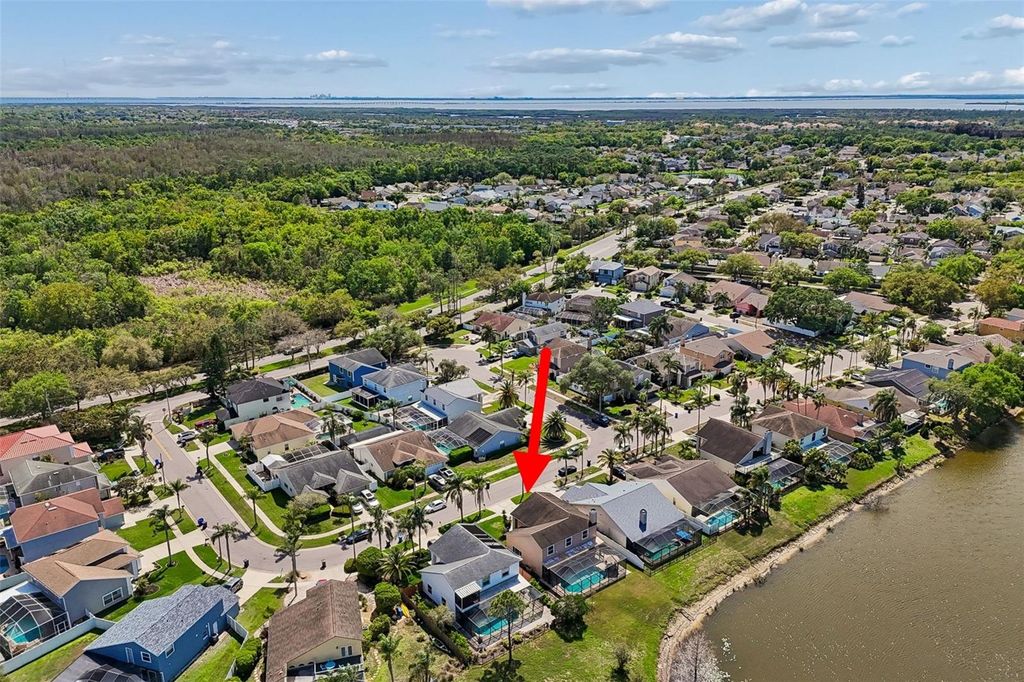 Image 51 of property listing at 11415 WHISPERING HOLLOW, Tampa, FL 33635