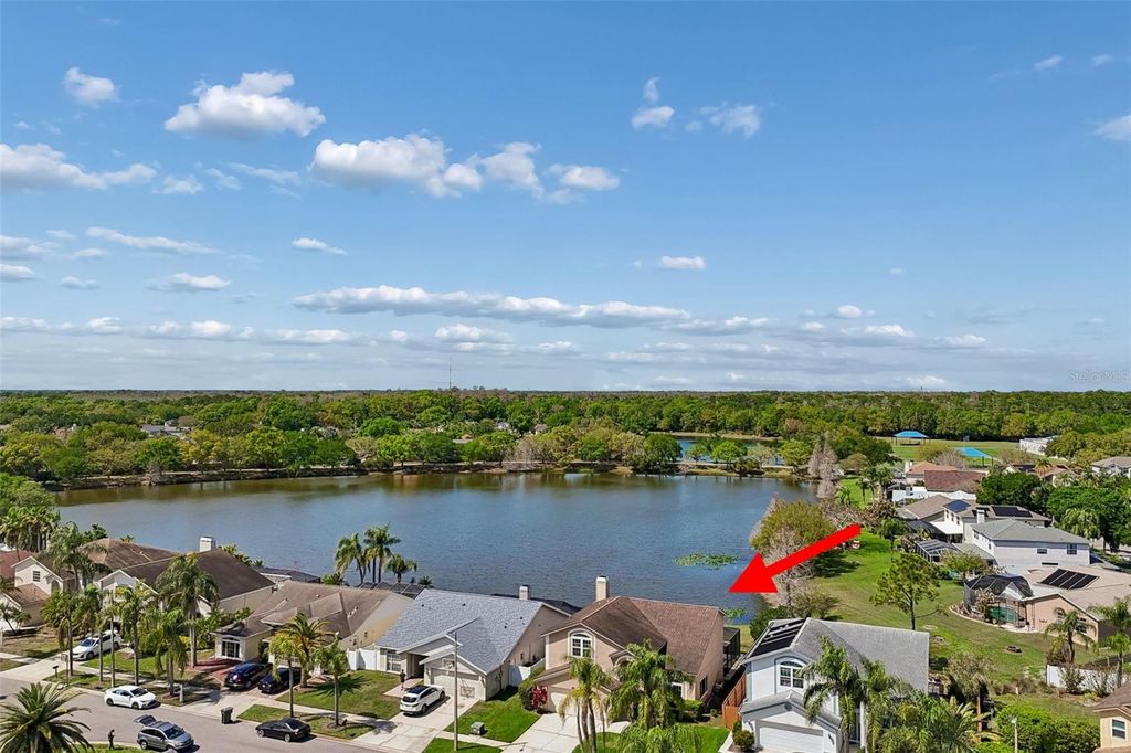Image 54 of property listing at 11415 WHISPERING HOLLOW, Tampa, FL 33635