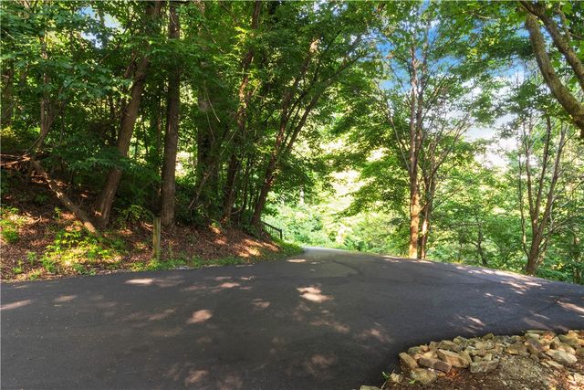 39 Raptor Way Way, Landrum, SC 29356
