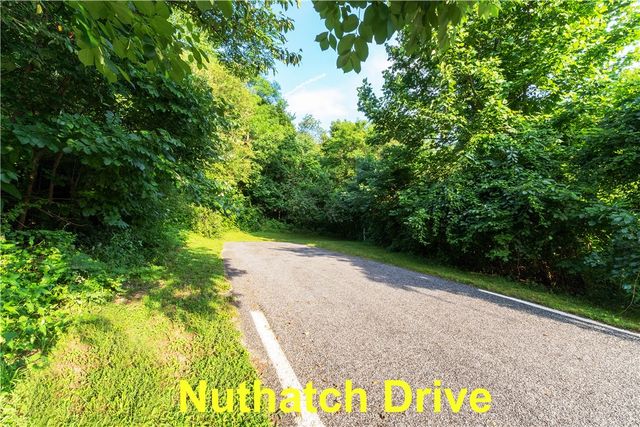 39 Raptor Way Way, Landrum, SC 29356