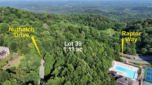 39 Raptor Way Way, Landrum, SC 29356